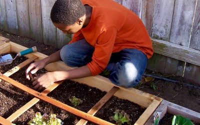 Le compost : comment et avec quoi le réaliser ?