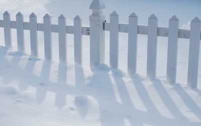 Aménagement extérieur :Cloture jardin que choisir?