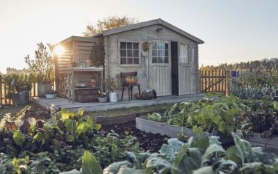 Quels matériaux pour un abri de jardin ?